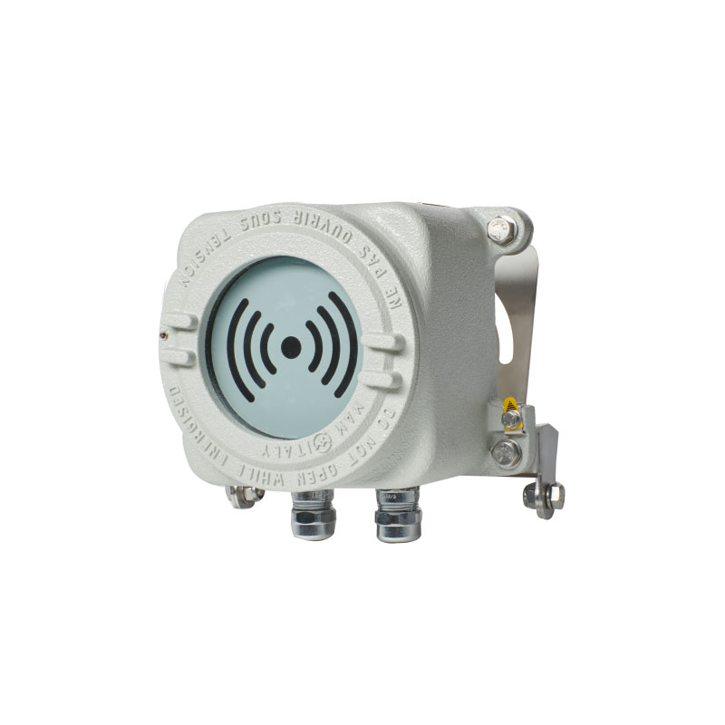 Motion detector switch Ex MC Guard HF EB